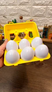 Match eggs  یا تخم مرغهای تطبیقی