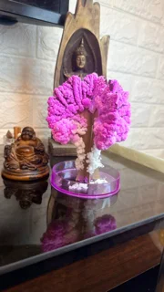 درخت جادویی